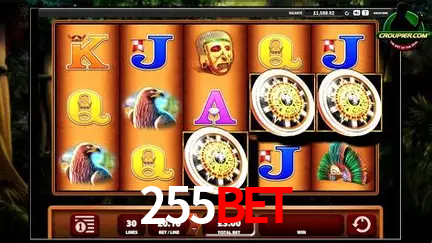 Explorando a Categoria de Eventos em Apostas na 255bet